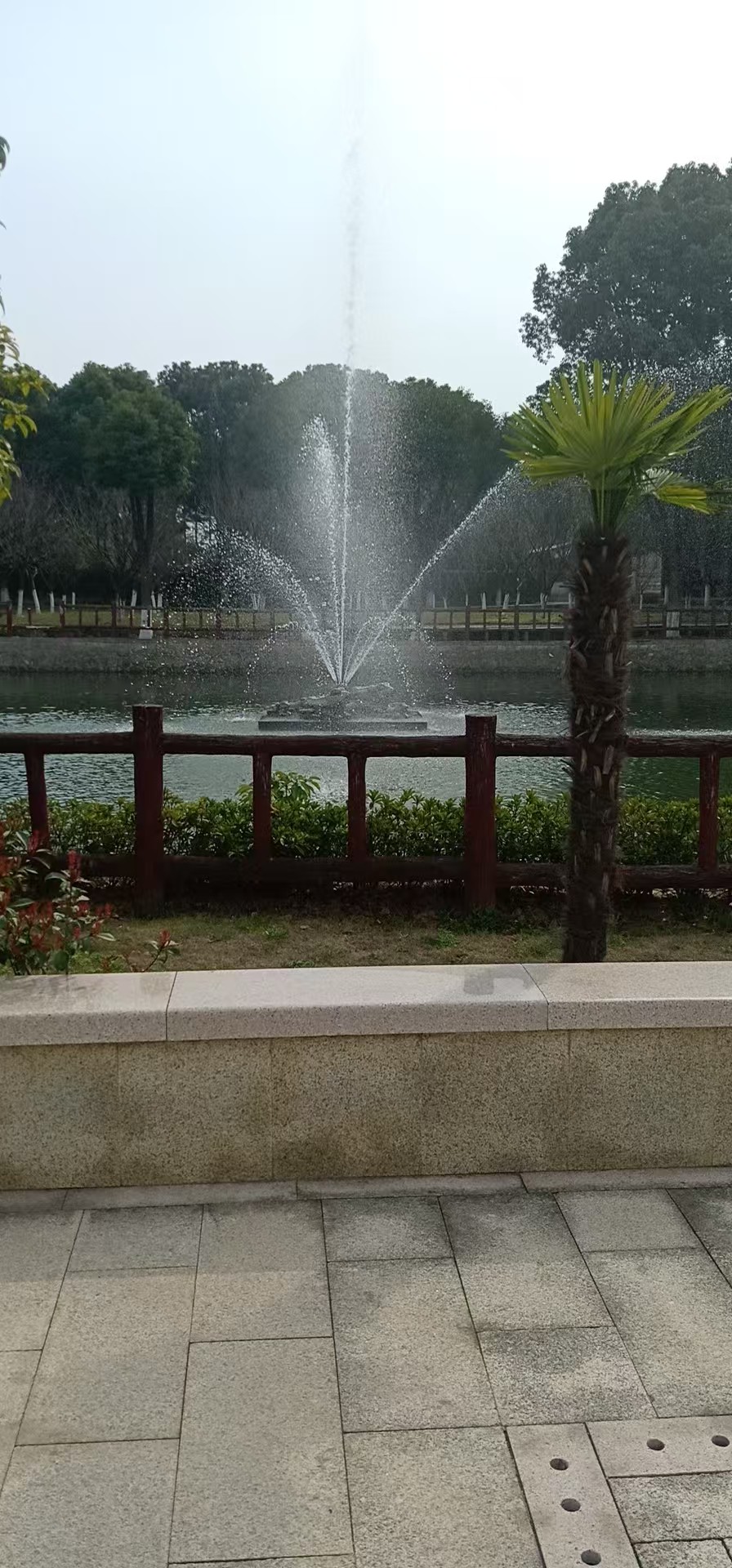 青山墓地电话