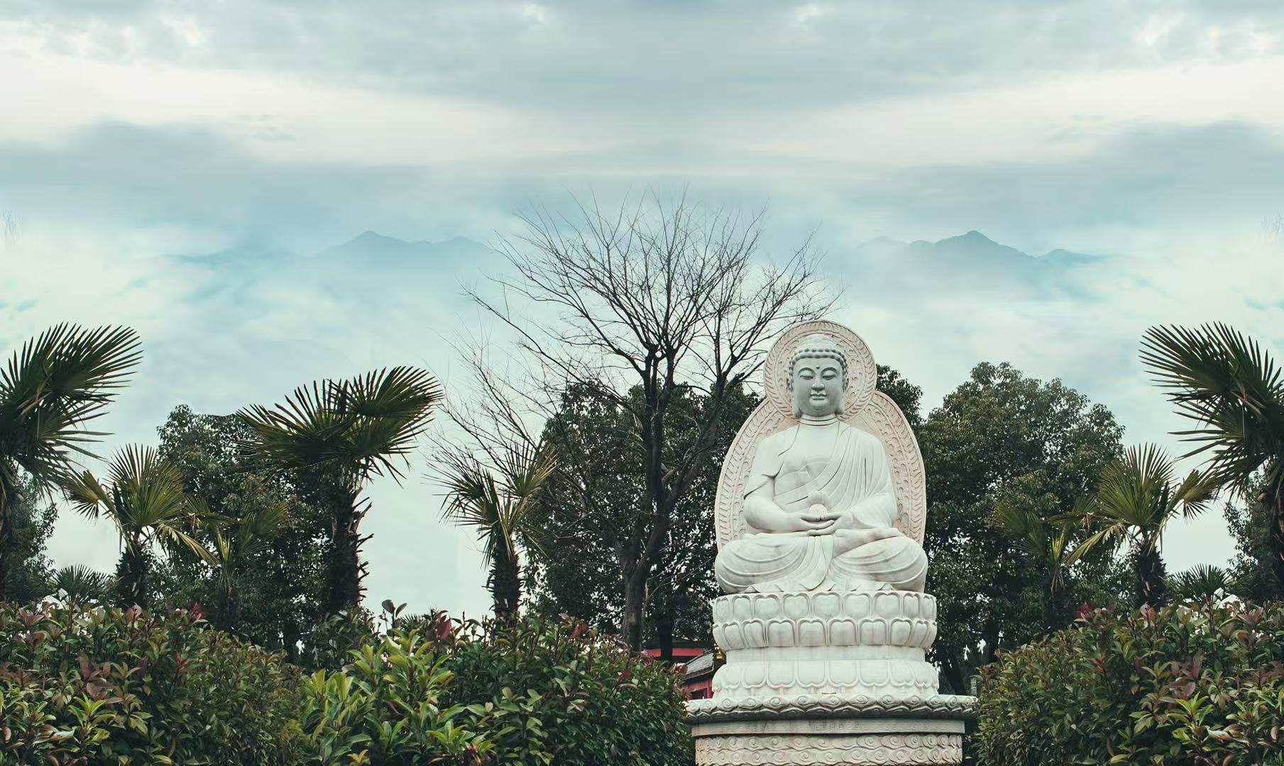 硚口墓地一条龙服务