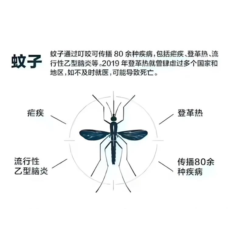 白云区住宅小区除老鼠电话