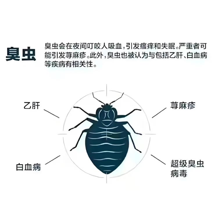 花都区企事业单位灭跳蚤