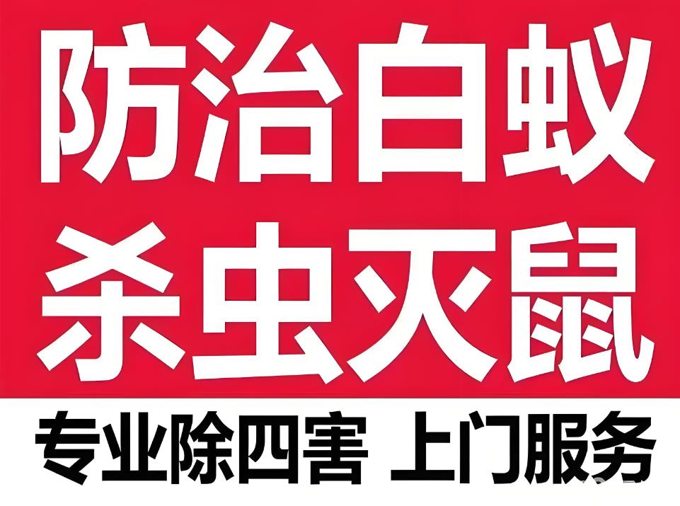 花都区企事业单位灭跳蚤