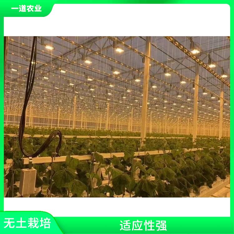 无土栽培设计 武汉无土栽培温室厂家 易于管理和控制