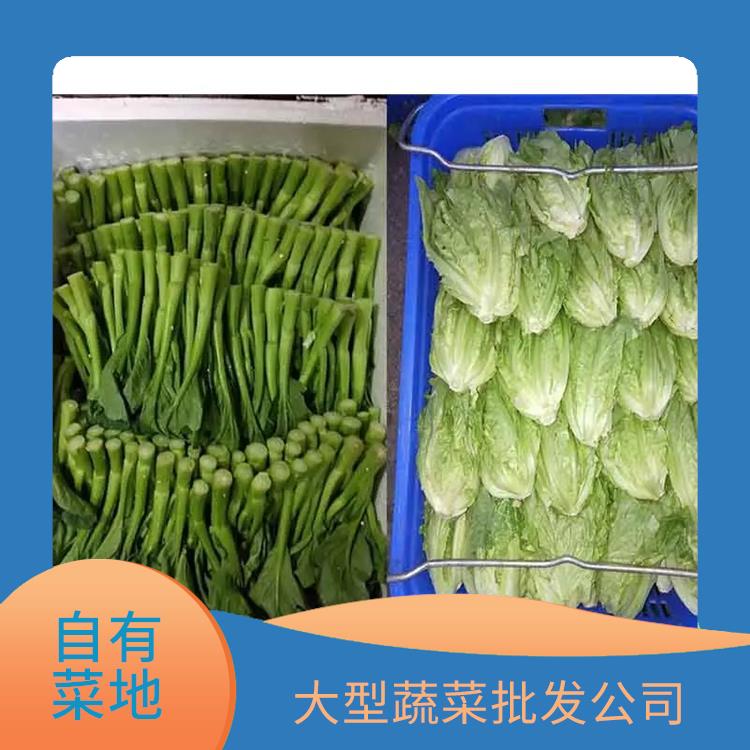 金湾饭堂食材配送服务公司 配送蔬菜服务公司 大型批发市场提供平价送菜服务