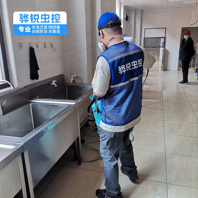 陶河杀虫公司 灭蟑螂 24小时热线咨询