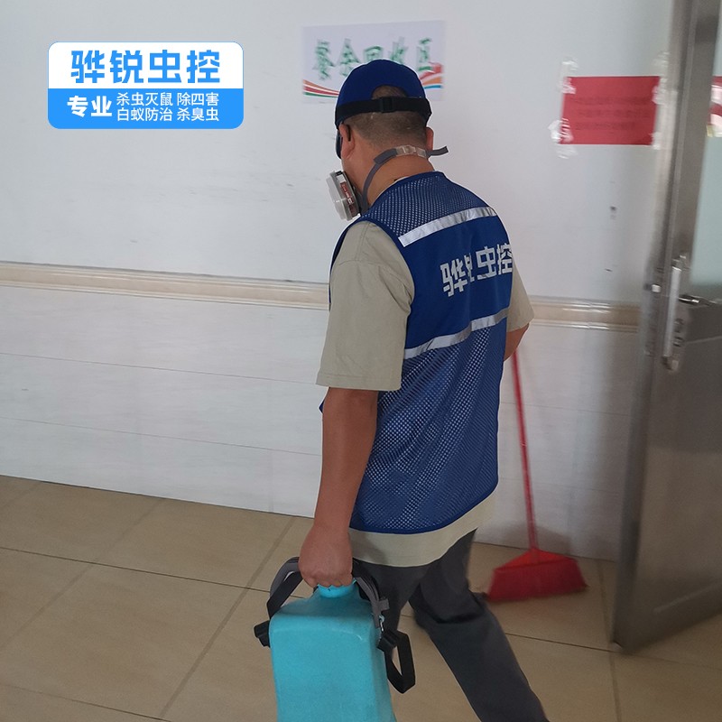 鹅埠灭鼠公司 小区杀虫灭鼠灭蚊