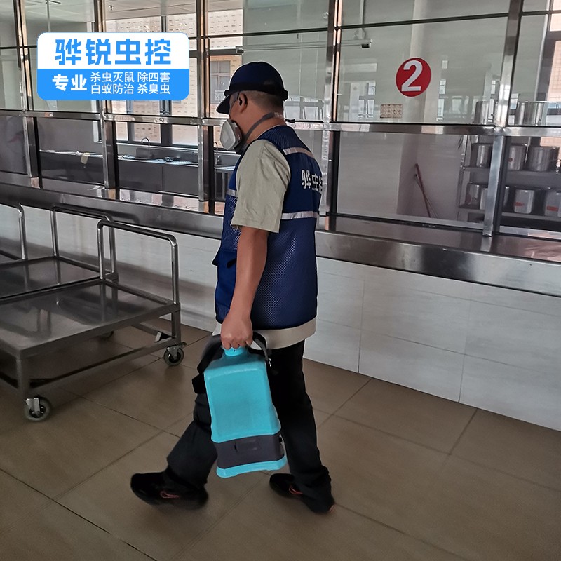 海珠杀白蚁公司 灭苍蝇 快速有效