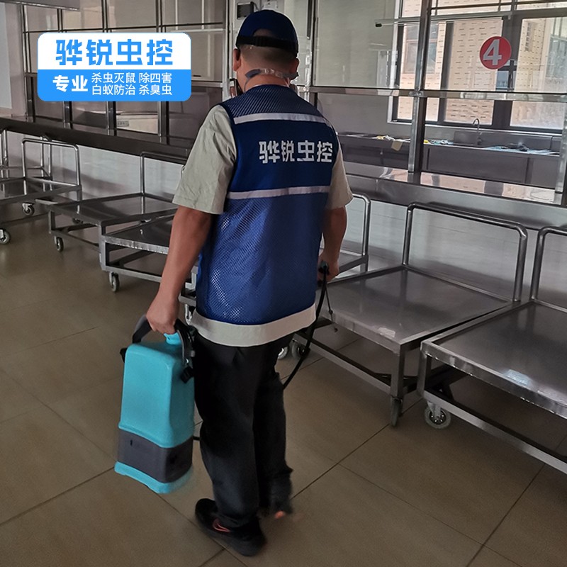 大湖灭鼠电话 工厂杀虫灭鼠 团队