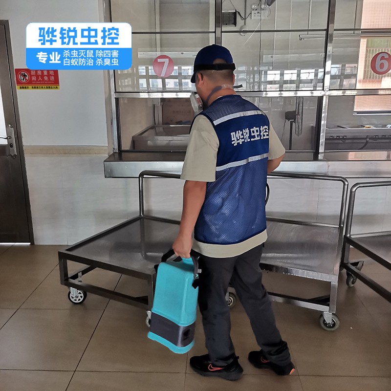 从化灭饭堂蟑螂公司 杀虫 上门服务