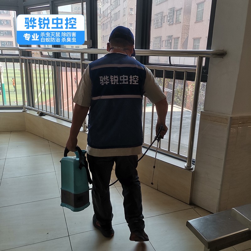 樟木头除四害中心 工厂杀虫灭鼠 灭蝇