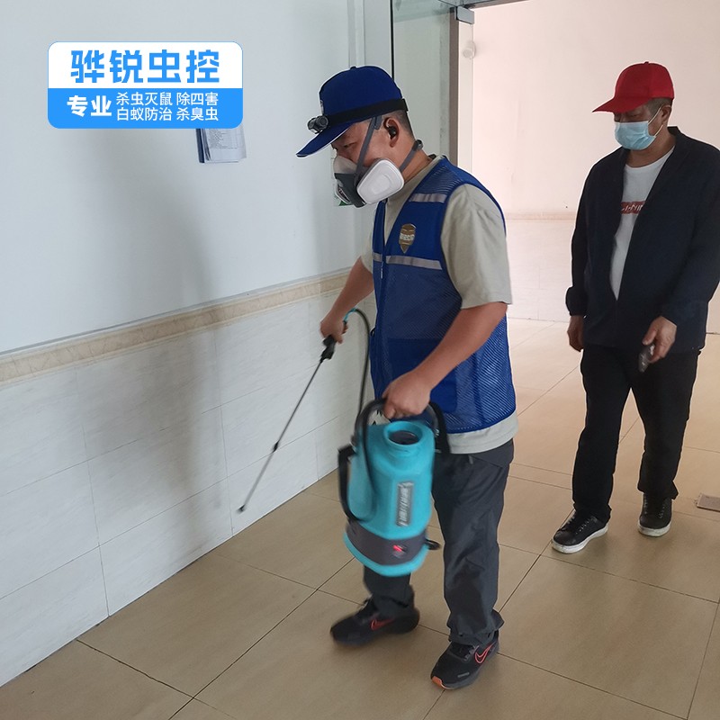 城东灭蚊蝇电话 灭蟑螂 无残留