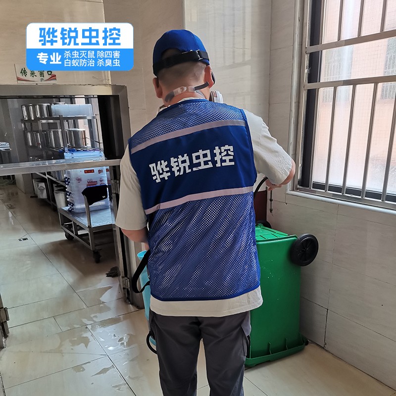 道滘杀虫服务 工厂消杀 灭蝇