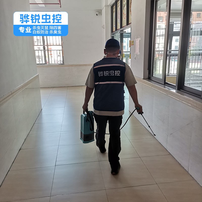 石坝白蚁防治服务 工厂消杀灭蝇