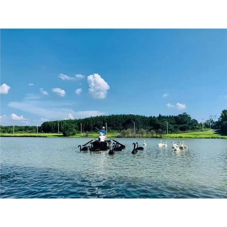 武汉仙鹤湖湿地园怎么卖