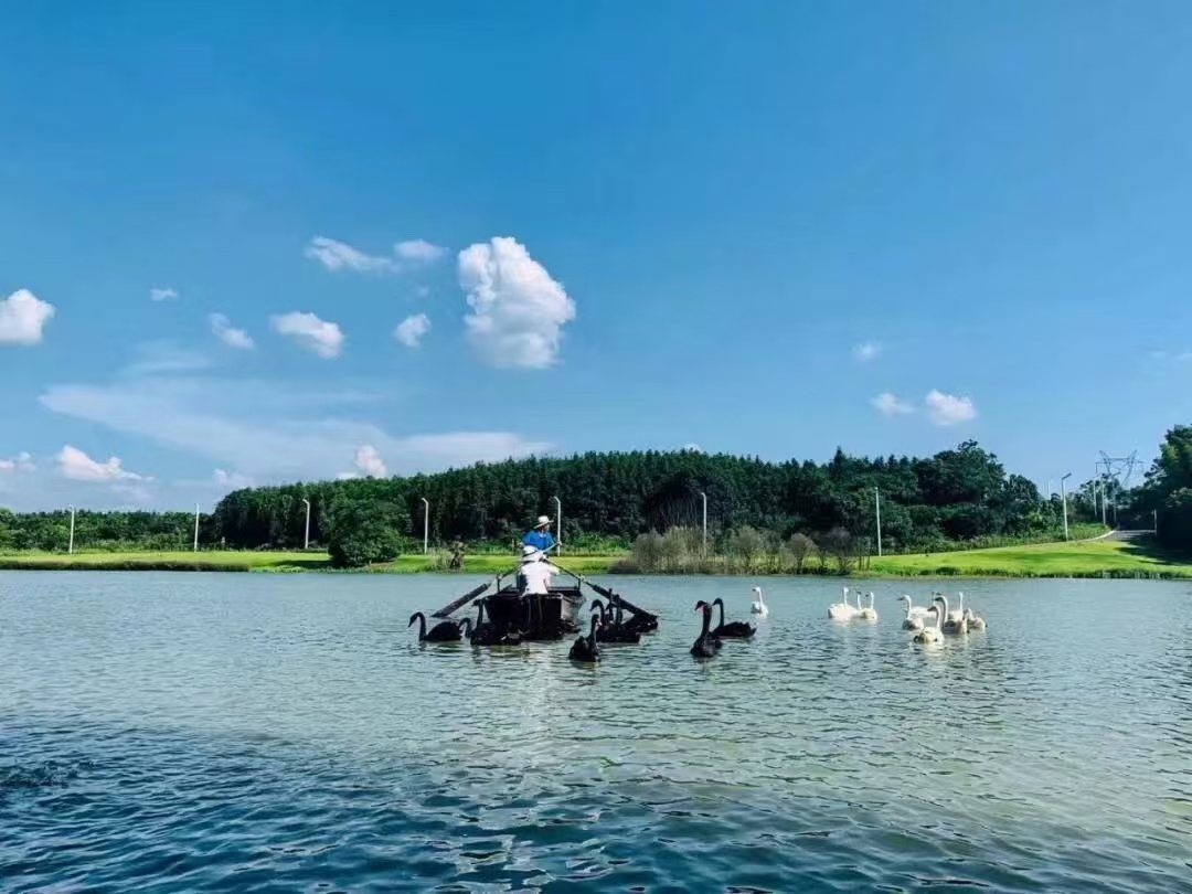 武汉仙鹤湖湿地园墓地位置