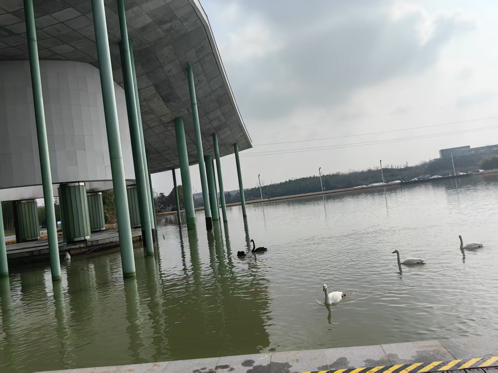 仙鹤湖湿地园机构