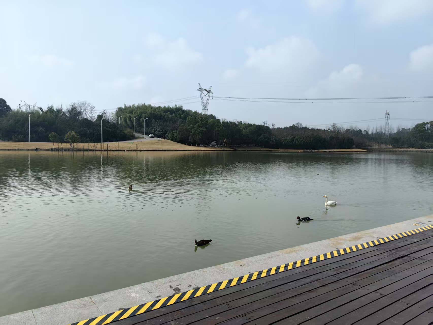 武汉仙鹤湖湿地园怎么卖