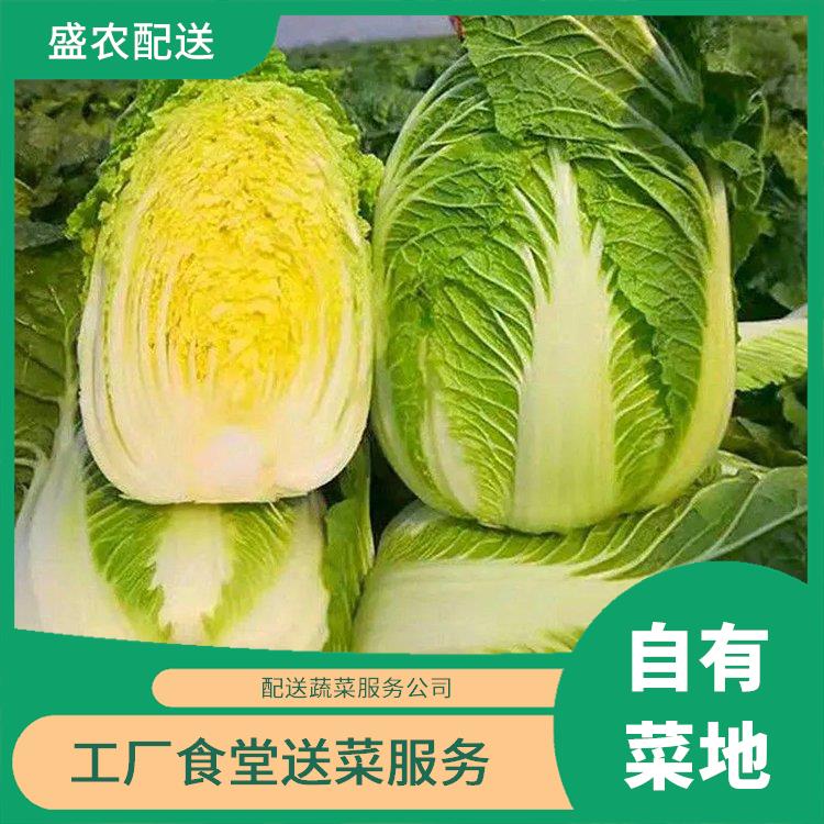 广州黄埔饭堂食材配送服务公司 工厂食堂送菜服务 大型批发市场提供平价送菜服务
