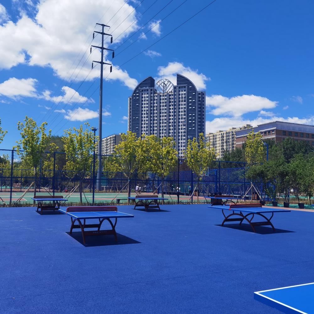 内江硅PU球场地坪