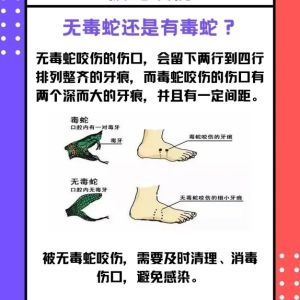 南昌县工厂防蛇