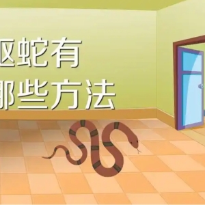 新建区驱蛇布点器