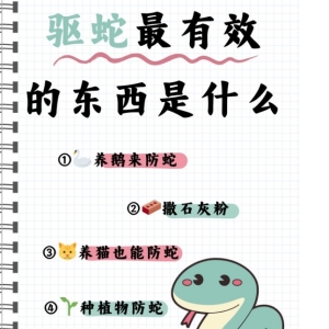 新余公园防蛇