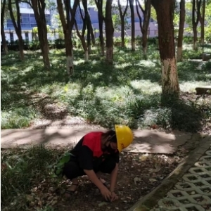 江西驱蛇装置