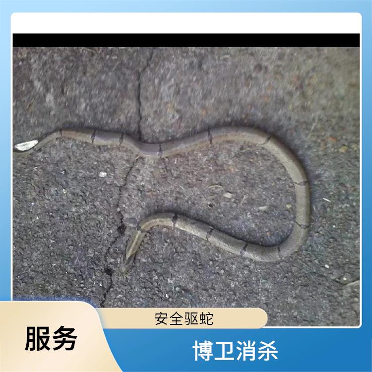 博卫驱蛇公司 吉安防蛇灭鼠