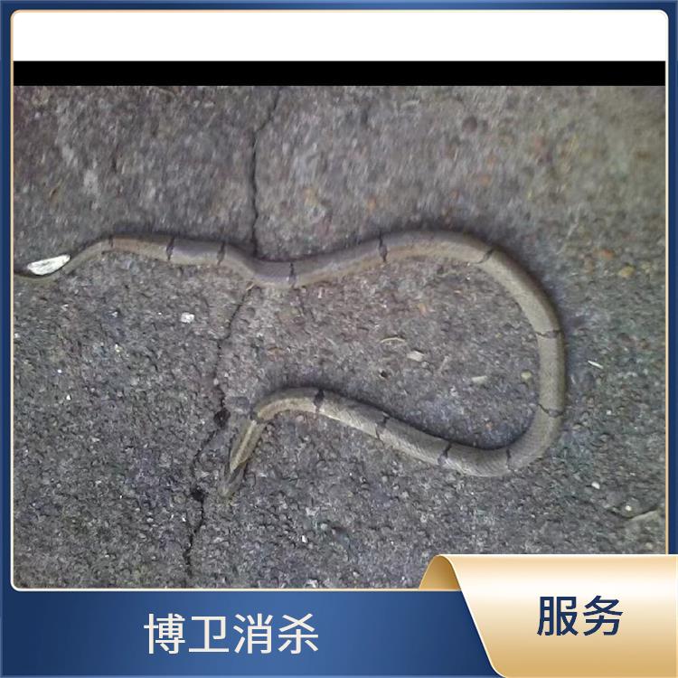 红谷滩区公园防蛇 工程防蛇驱蛇服务