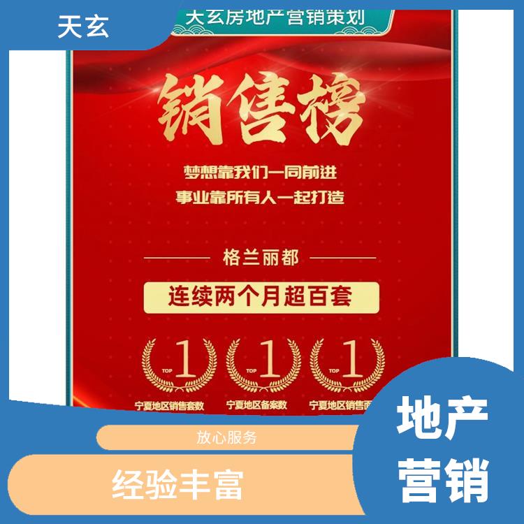 临泽县房地产营销策划公司 全产业链服务 天玄营销