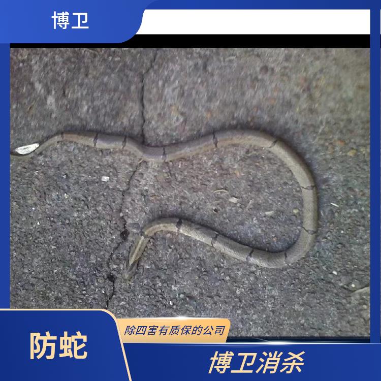 吉安别墅防蛇 多年行业经验为客户解决烦恼 安全可靠