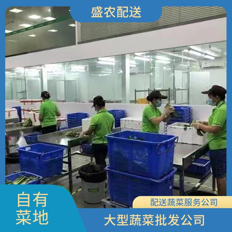 博罗饭堂食材配送服务公司 大型蔬菜批发公司 大型批发市场提供平价送菜服务