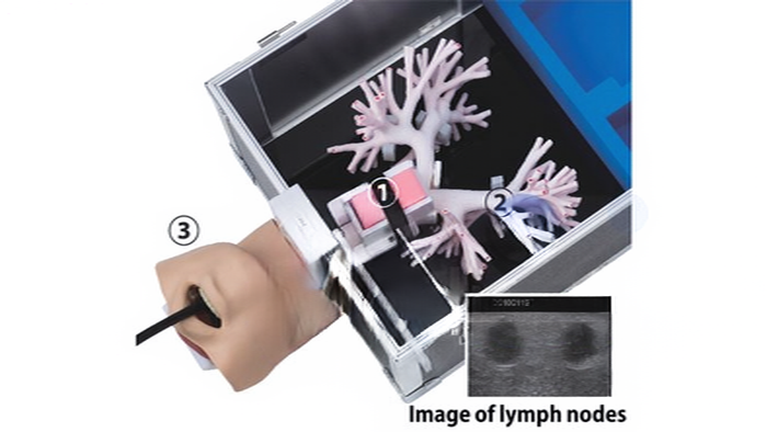 LM-099支气管穿刺训练模型