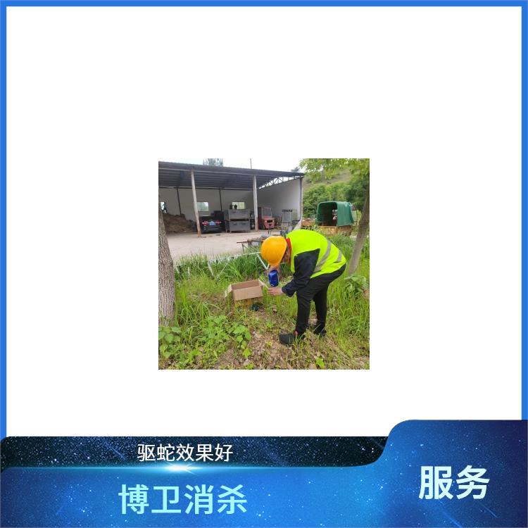 四害消杀的频率 新建区家庭驱蛇