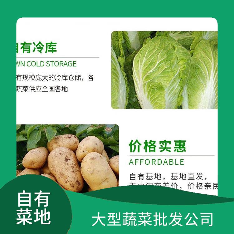 惠城区饭堂食材配送服务公司 大型蔬菜批发公司 提供一站式平价蔬菜配送服务