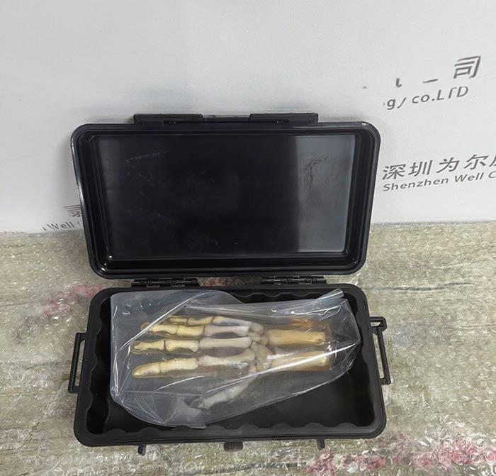 HN-P01儿童手掌模体