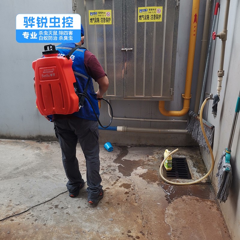 鲘门杀虫灭鼠机构 酒店消杀灭蚊