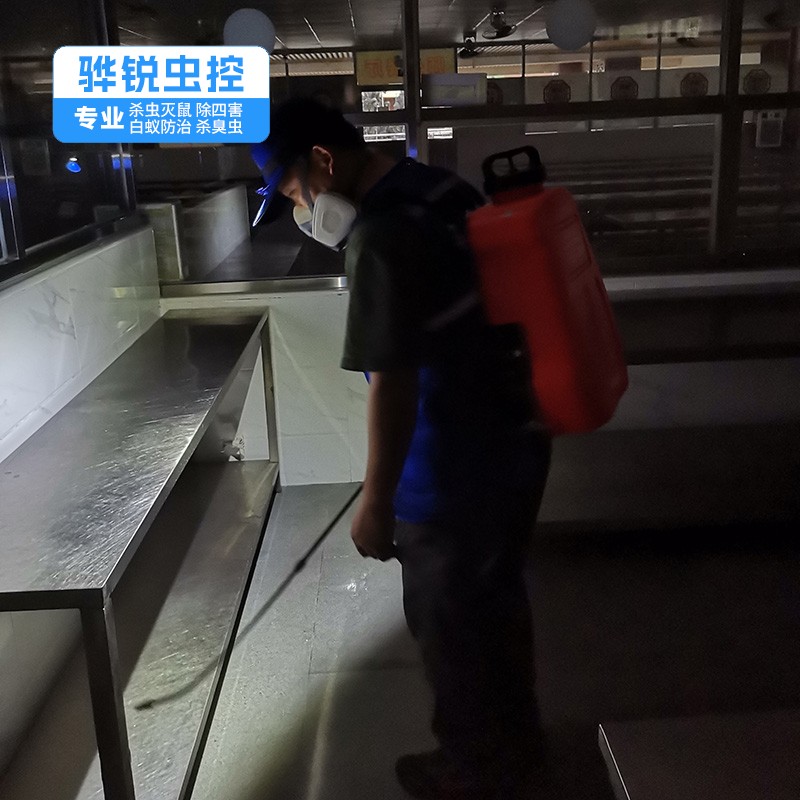 从化灭鼠公司 工厂杀臭虫灭蚊蝇
