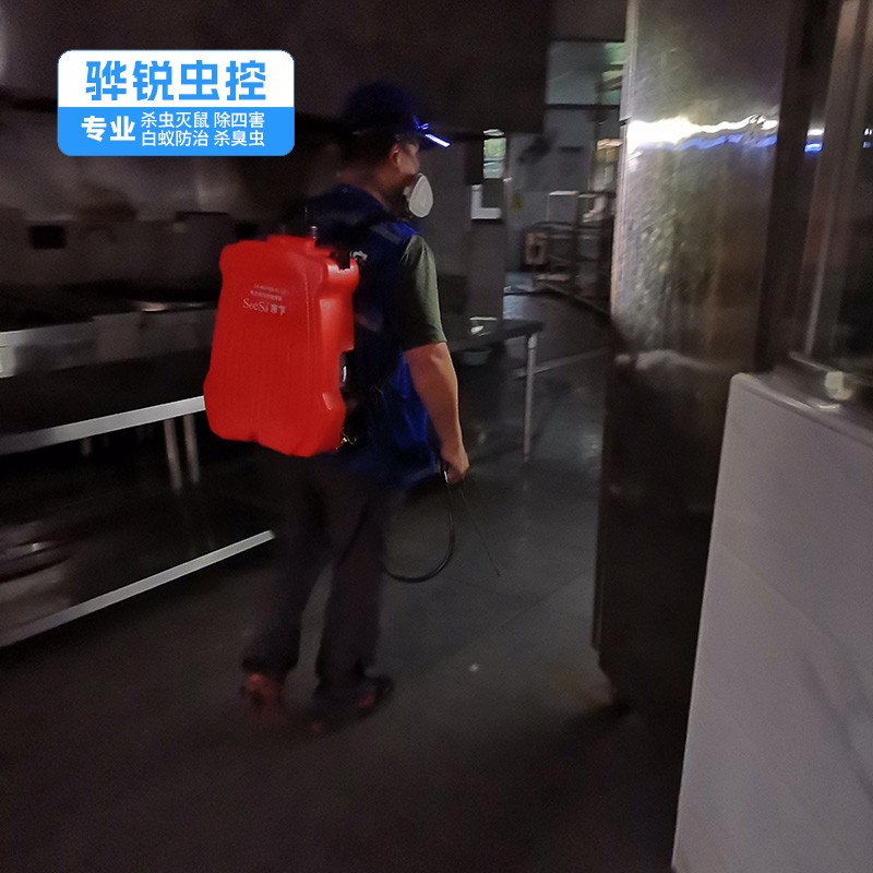盐田白蚁防治公司 工厂杀虫灭鼠灭苍蝇