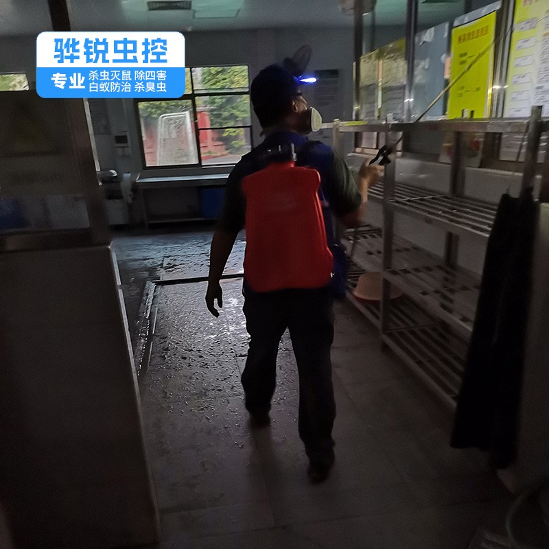 白云除四害电话 工厂杀虫灭鼠除蟑螂