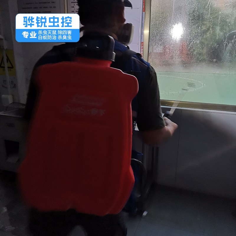 罗湖杀虫灭鼠公司 宿舍杀臭虫灭蚊蝇