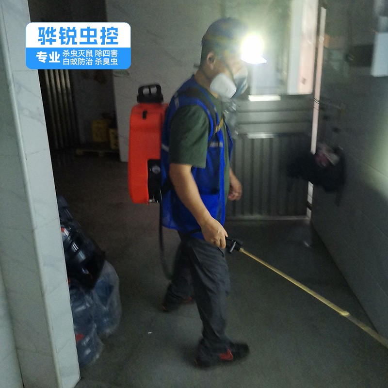 中堂除四害电话 宿舍杀臭虫 灭蚊
