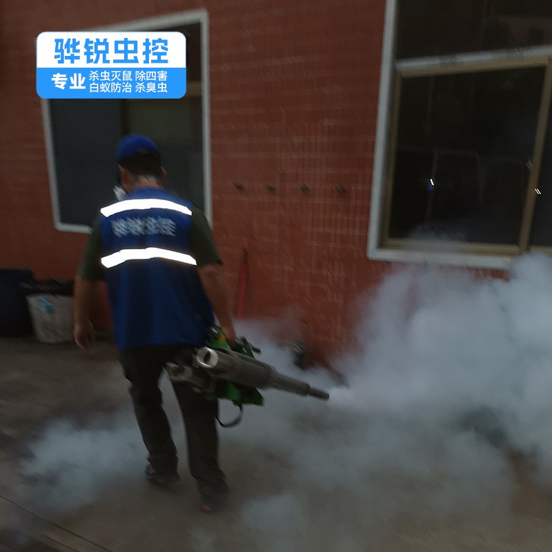 光明白蚁防治方法 酒店灭鼠除蟑螂