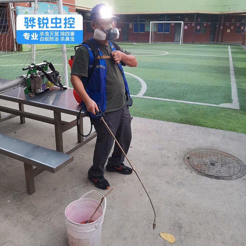 莞城灭鼠机构 工厂杀虫灭鼠 灭蝇