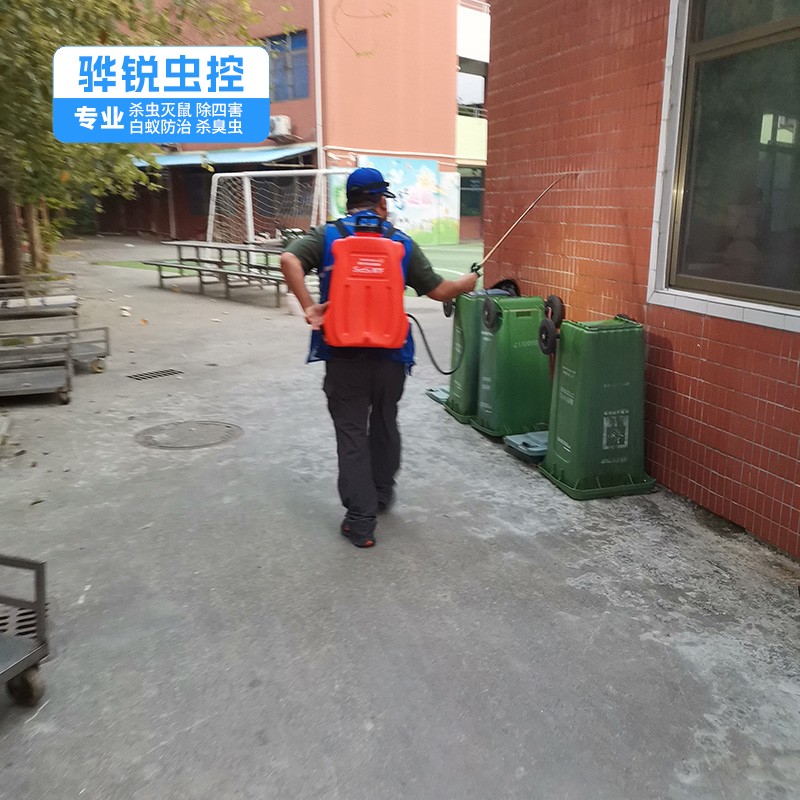 泰美灭鼠服务 宿舍杀臭虫灭蚊