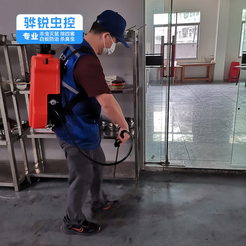 常平白蚁防治方法 宿舍杀臭虫 灭蚊