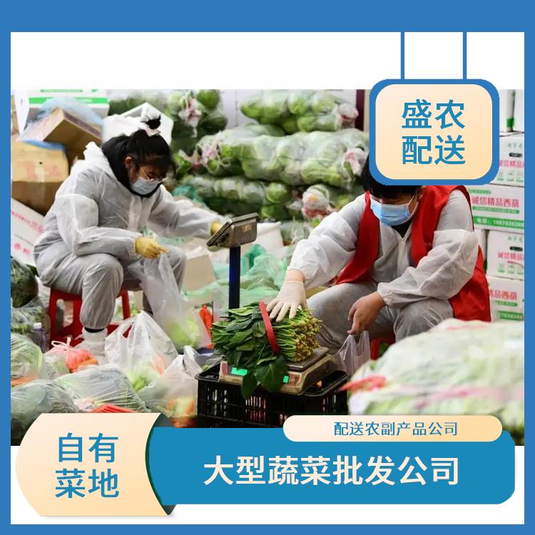 麻涌饭堂食材配送服务公司 大型蔬菜批发公司 大型批发市场提供平价送菜服务