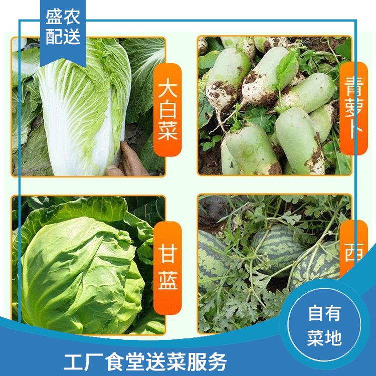 石岐饭堂食材配送服务公司 配送农副产品公司 大型批发市场提供平价送菜服务
