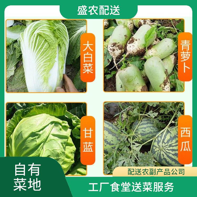 石岐饭堂食材配送服务公司 配送农副产品公司 提供一站式平价蔬菜配送服务