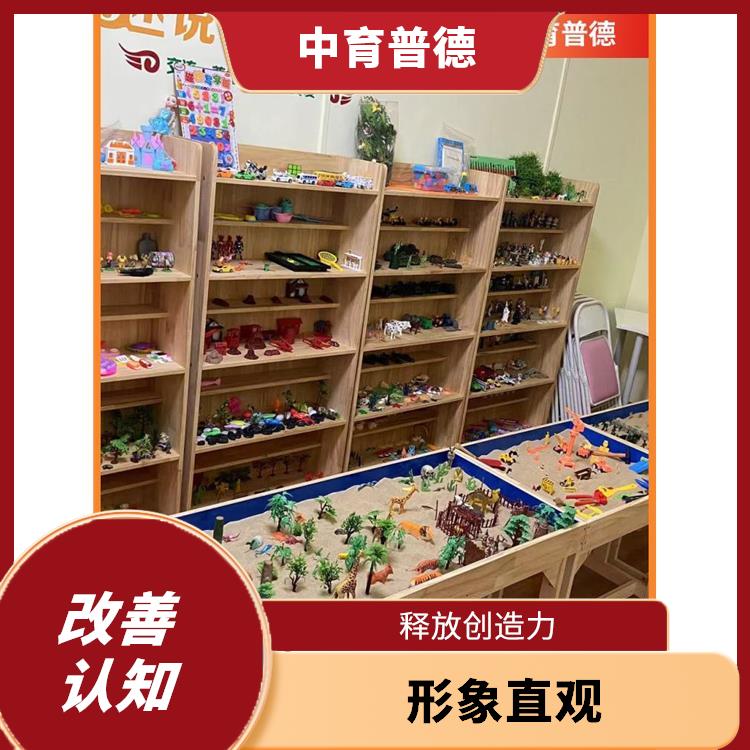 发挥自主性 心理沙盘基础版 应用广泛