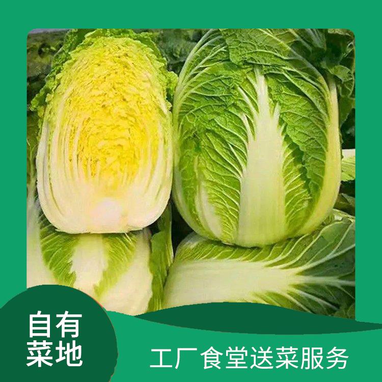 新安饭堂食材配送服务公司 大型蔬菜批发公司 大型批发市场提供平价送菜服务